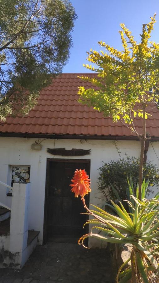 Atlantic Pearl Guest House Мидранд Екстериор снимка